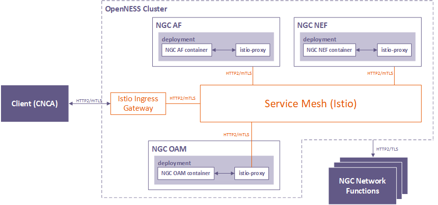 Service Mesh for NGC